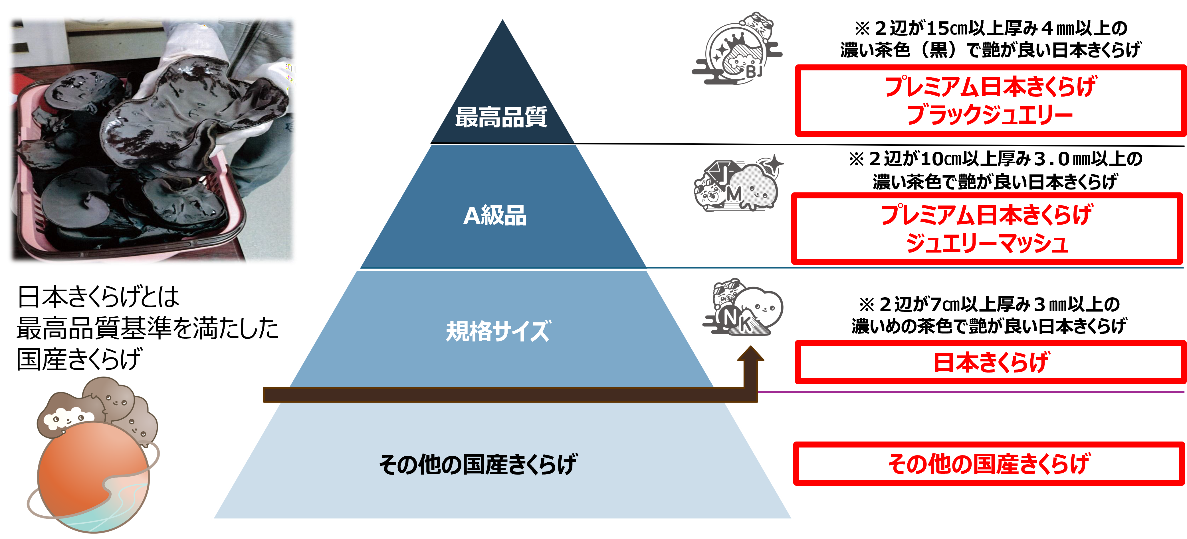 パッケージの仕組み
